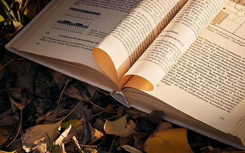 2025年昆明冶金高等專科學校招生專業有哪些